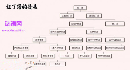 首页 谚语 经典谚语拉丁语 拉丁语(lingua latīna)属于印欧语系